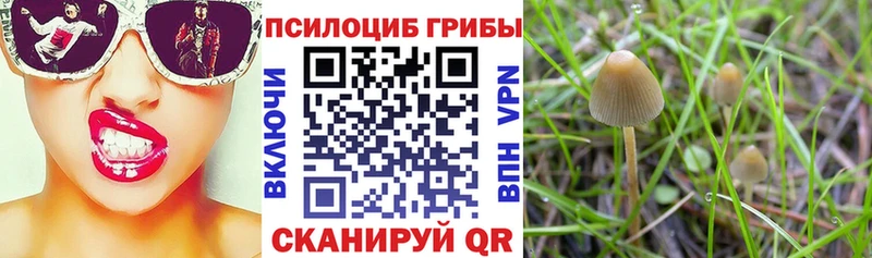 Псилоцибиновые грибы мицелий  Семёнов 